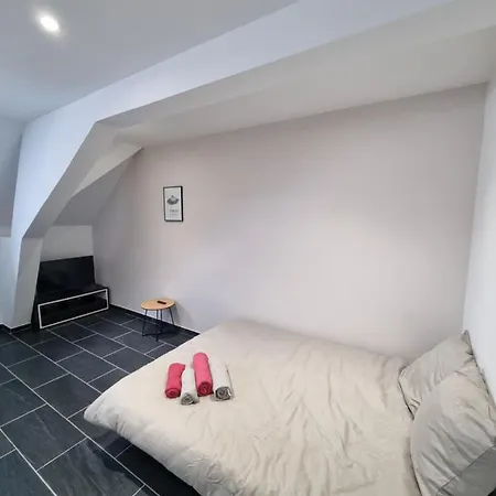 Le Tokyo - Gare Apartman Mulhouse